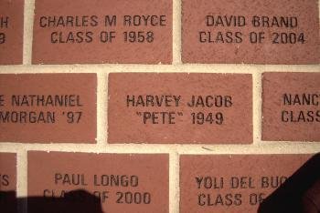 Engraved Bricks