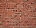 B-CC Bricks Grid 3D